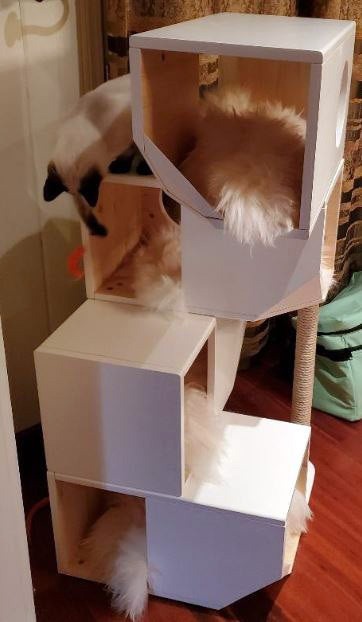 Catissa Freestanding 4 Storey Cat House