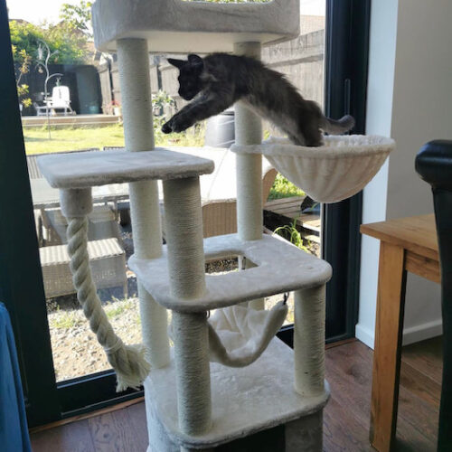 Ragdoll Zada Cat Tree | LOWEST PRICES GUARANTEED | FREE DELIVERY