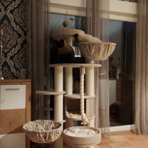 202524346 3049862205247698 6131793898540910960 n 1 500x500 - Cat Tree For Large Breeds