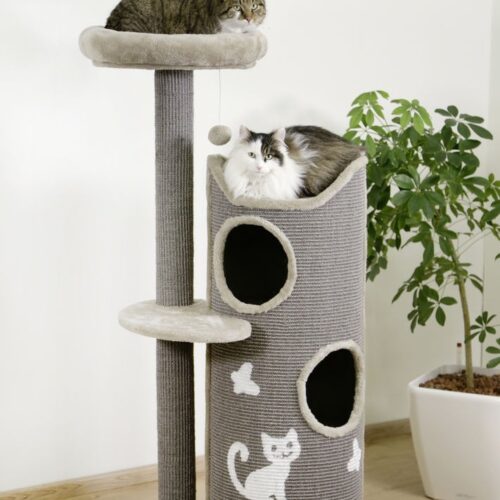 8162020 500x500 - Cat Tree For Large Breeds