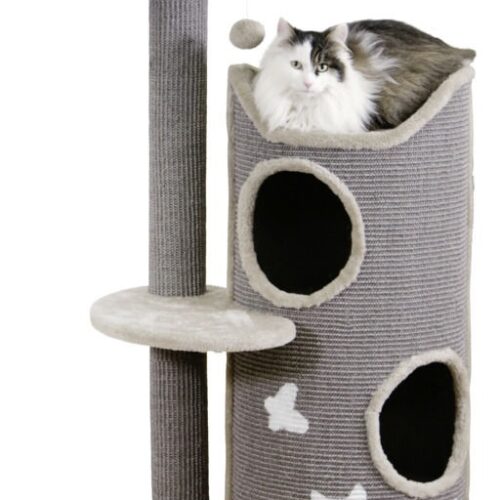 8162030 500x500 - Cat Tree For Large Breeds