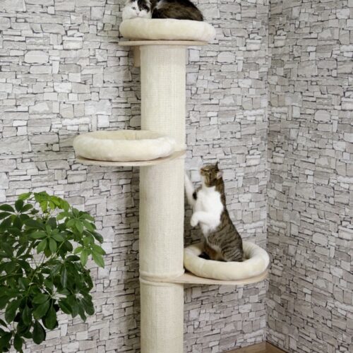 8163820 500x500 - Cat Tree For Large Breeds