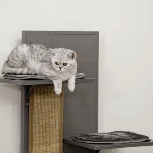 8445513 500x500 - Cat Tree For Large Breeds
