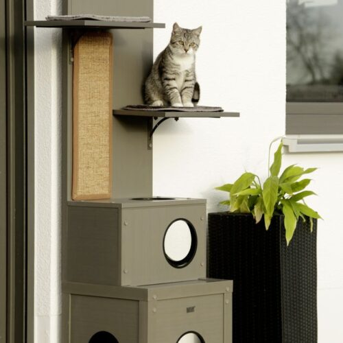8445522 500x500 - Cat Tree For Large Breeds