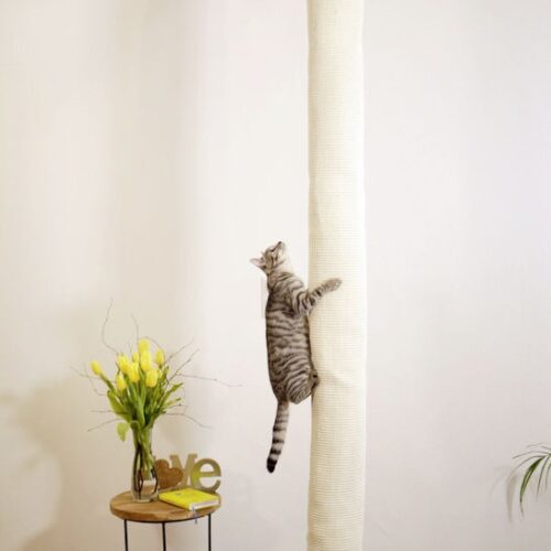 8445720 500x500 - Cat Tree For Large Breeds