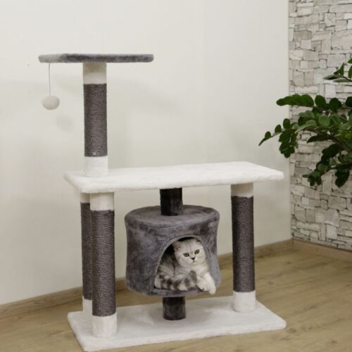 8446020 500x500 - Cat Tree For Large Breeds