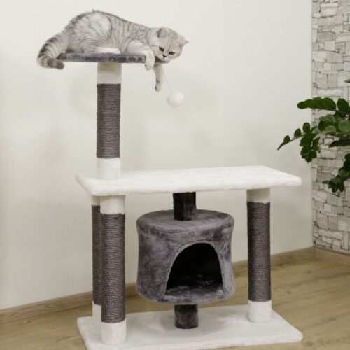 8446022 500x500 - Cat Tree For Large Breeds