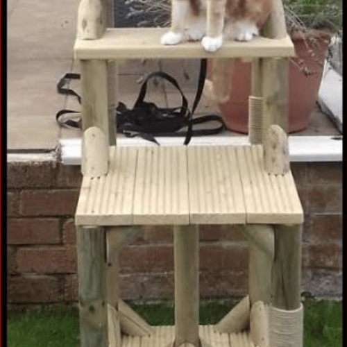 Screen Shot 2563 08 17 at 11.33.13 500x500 - Cat Tree For Large Breeds