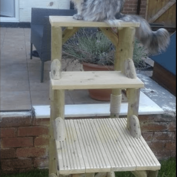 Outdoor Cat Trees UK LOWEST PRICES GUARANTEED FREE DELIVERY