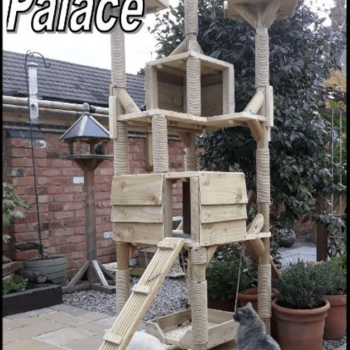 Outdoor Cat Trees T S, Outdoor Cat Trees For Large Cats Uk