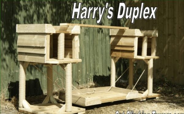 Harrys Duplex Cat Tree