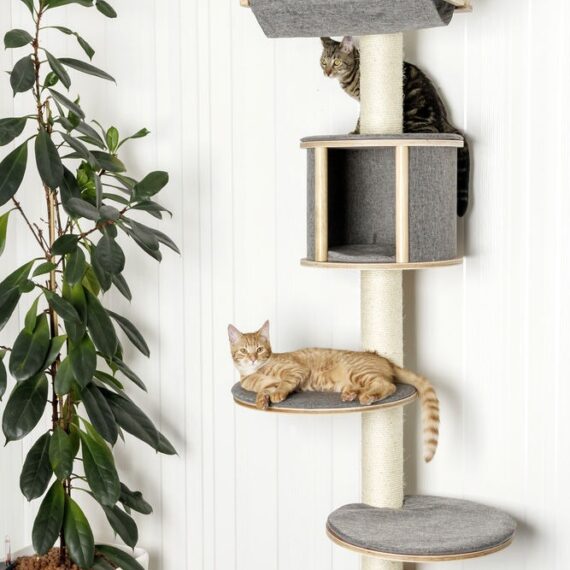 Wall Mounted Cat Trees | FREE DELIVERY & LOWEST PRICES