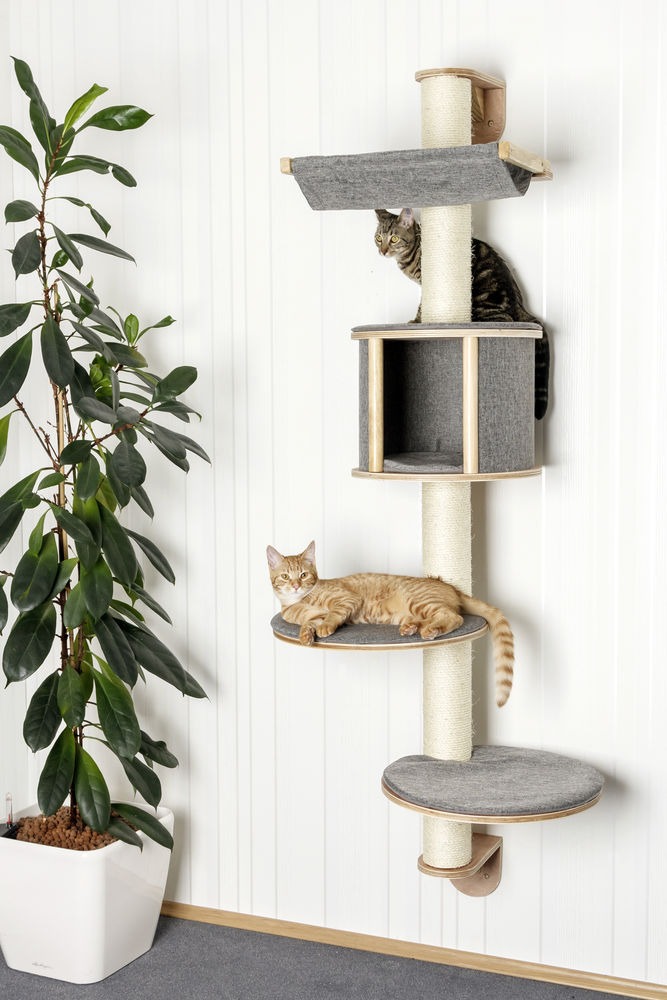 Wall-mounted Cat Tree Dolomit Xl Tofana 