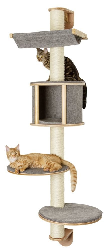 8154030 - Cat Tree For Large Breeds