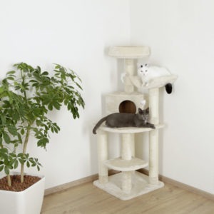 8162120 300x300 - Cat Tree For Large Breeds