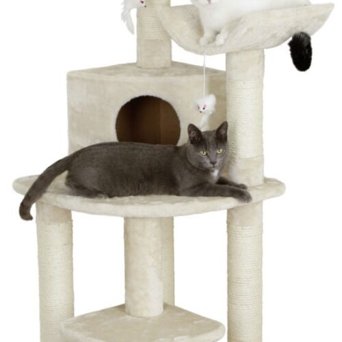 8162130 500x500 - Cat Tree For Large Breeds