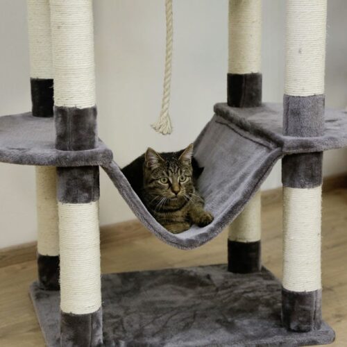 8445610 500x500 - Cat Tree For Large Breeds
