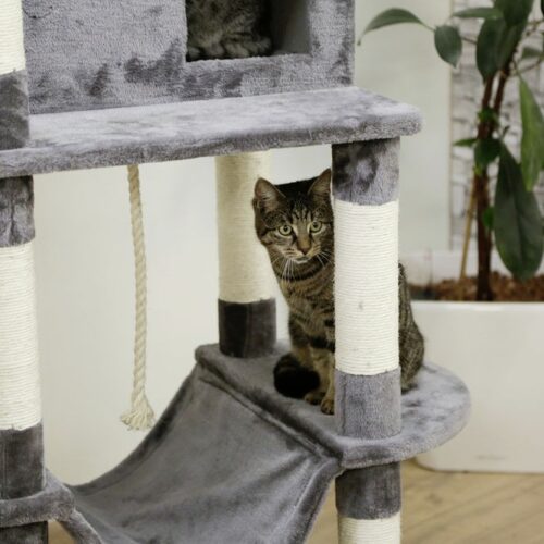 8445611 500x500 - Cat Tree For Large Breeds