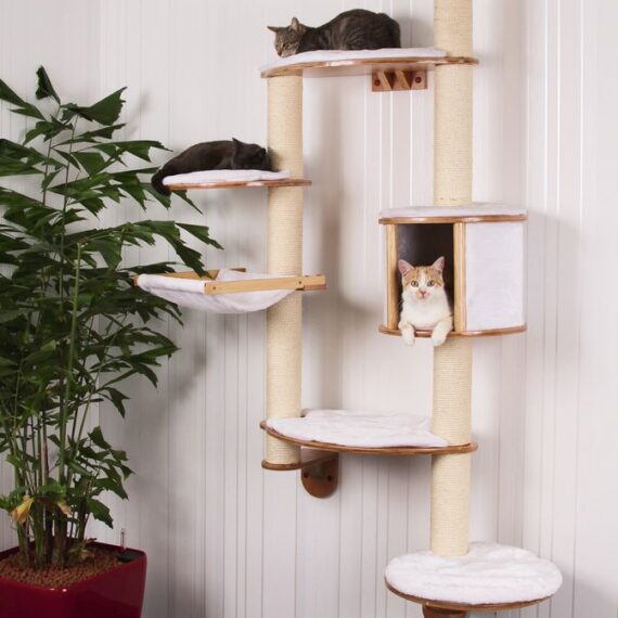 Wall Mounted Cat Trees | FREE DELIVERY & LOWEST PRICES