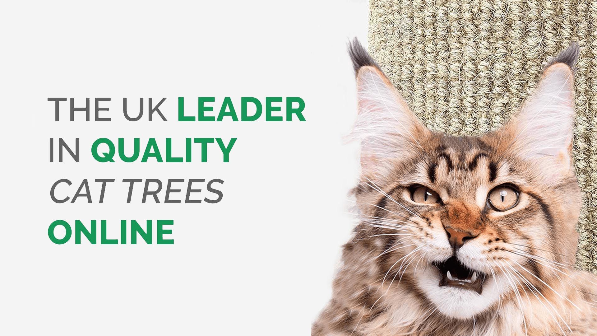 cattree uk main banner 1 - CAT TREE UK