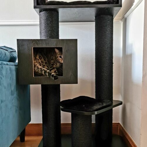 225749738 265180551631597 2079534816990417086 n 500x500 - Cat Tree For Large Breeds