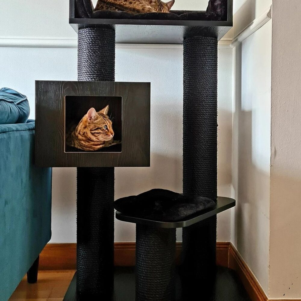 Cat Trees LOWEST PRICES GUARANTEED FREE DELIVERY