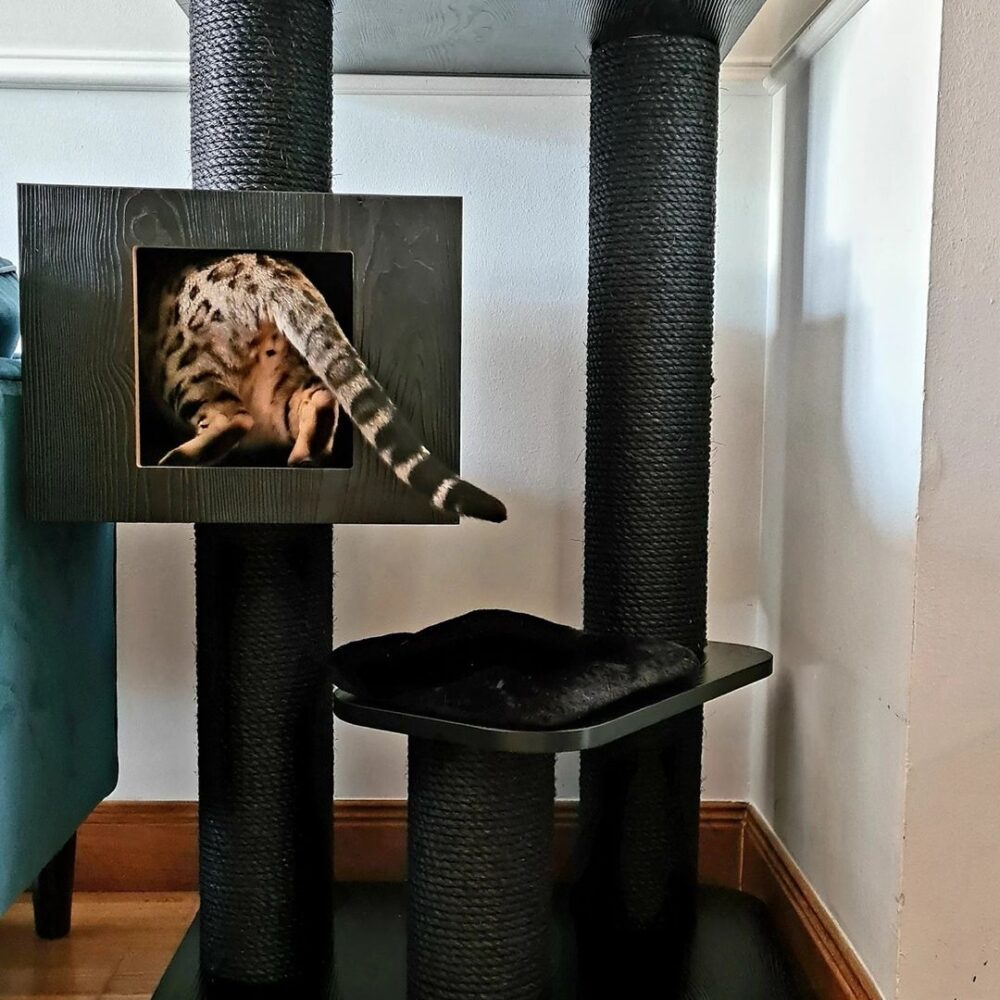 Cat Trees LOWEST PRICES GUARANTEED FREE DELIVERY