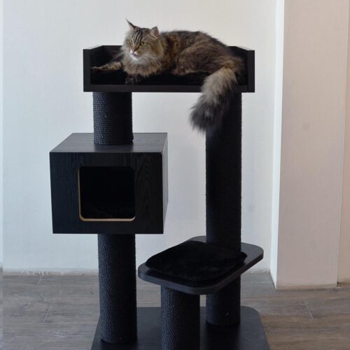 dpp2pp 500x500 - Cat Tree For Large Breeds