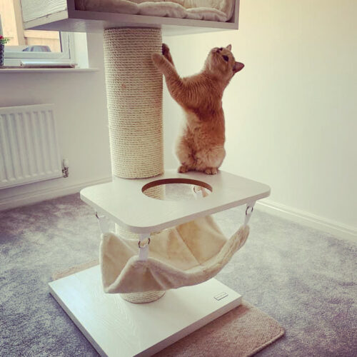 imagecrown 500x500 - Cat Trees In France