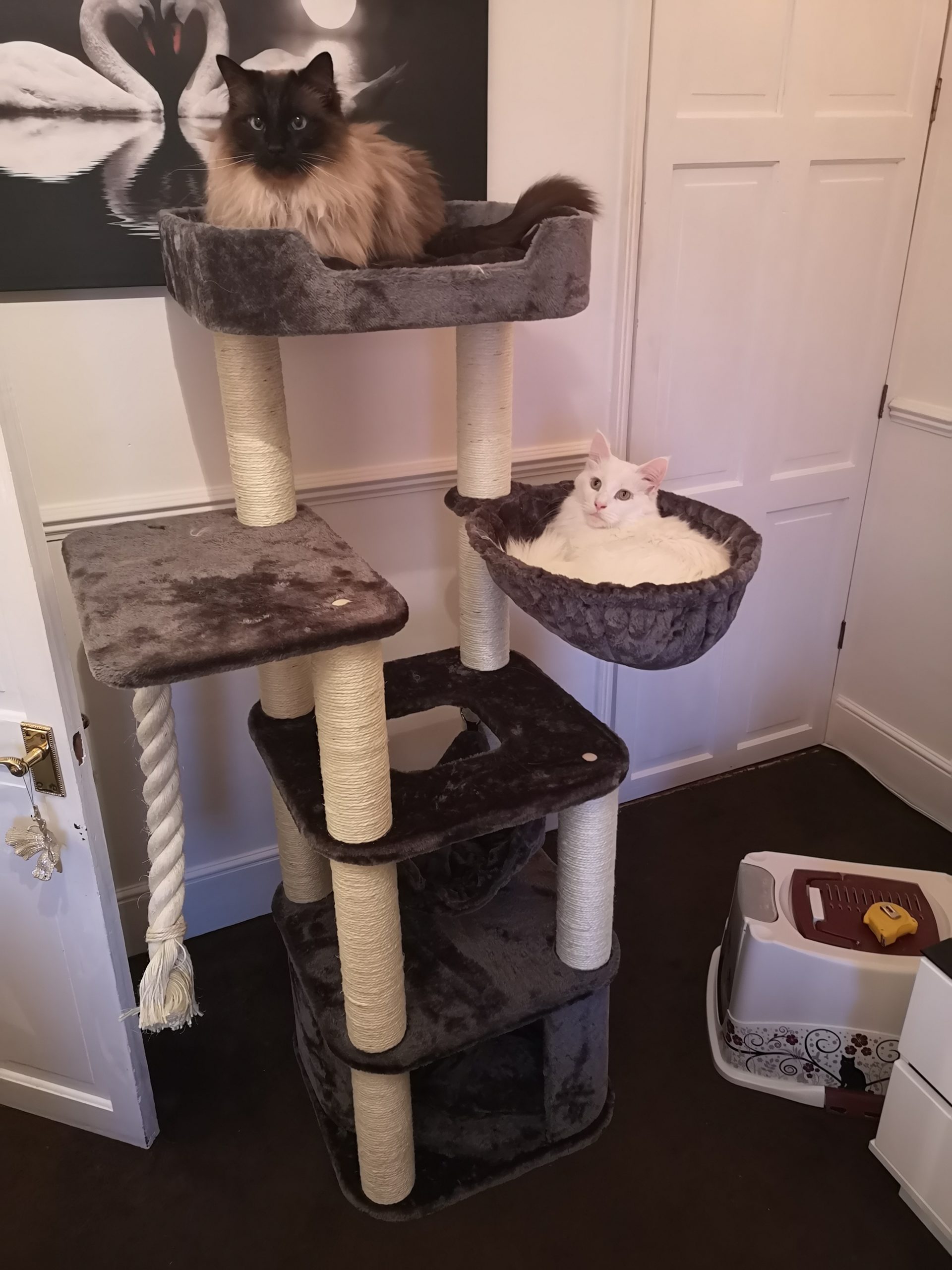 Ragdoll Zada Cat Tree (anthracite) 