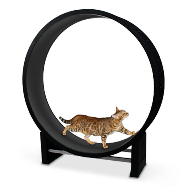 Cat in Motion Wheel (Black)