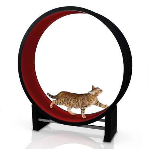 Cat in Motion Wheel (Black & Red)