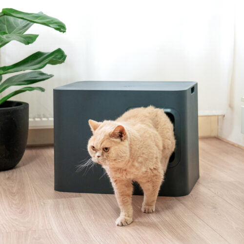 Hoopo® Dome Cat Litter Box (Grey)