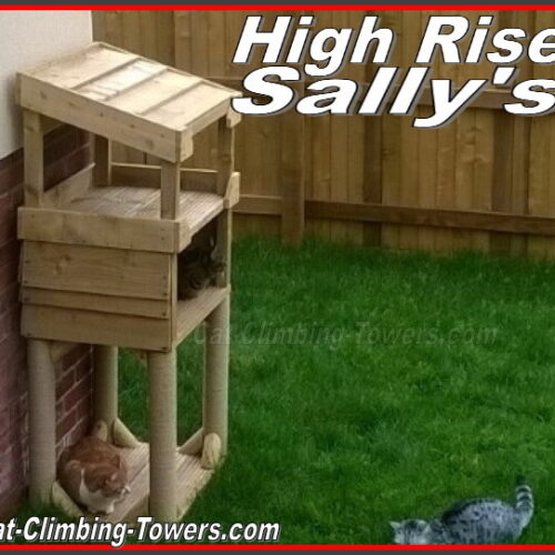 High Rise Sallys