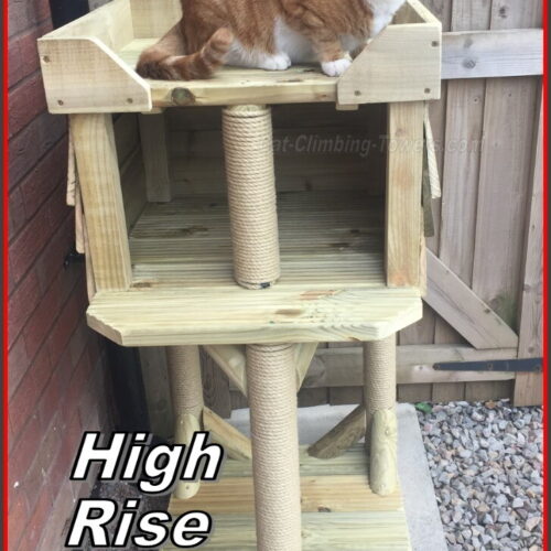 High Rise Harry