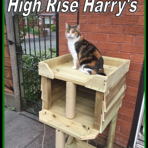 High Rise Harry