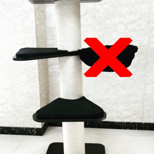 1 500x500 - Cat Trees In Germany