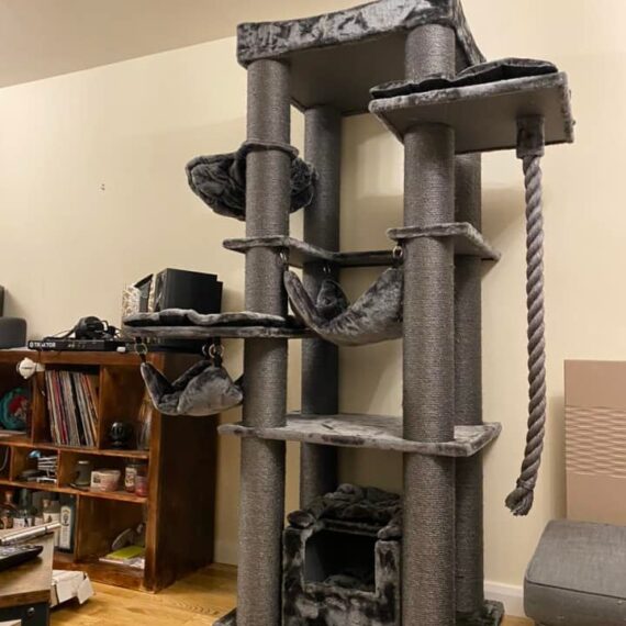 Cat Trees | LOWEST PRICES GUARANTEED | FREE DELIVERY