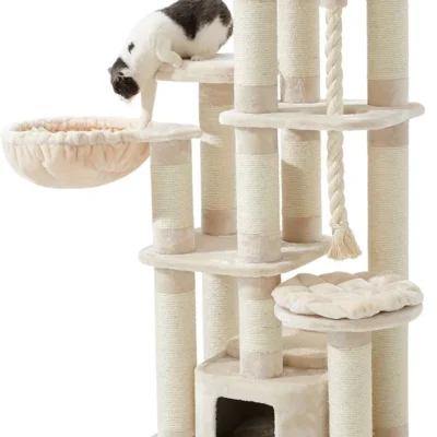 Panther Fredo Fantasy (Cream)