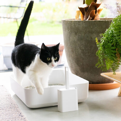 Poh Cat Litter Box (White)