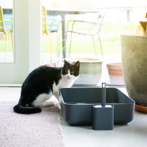 Poh Cat Litter Box (Black)