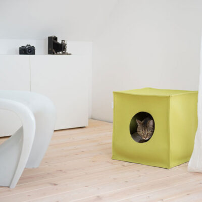 Cat house MOOD (Pea Green)
