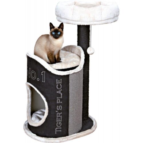 Susana Scratching Post