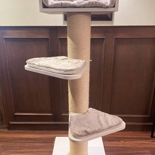 ROYAL DELUZSE 500x500 - Cat Trees In Germany