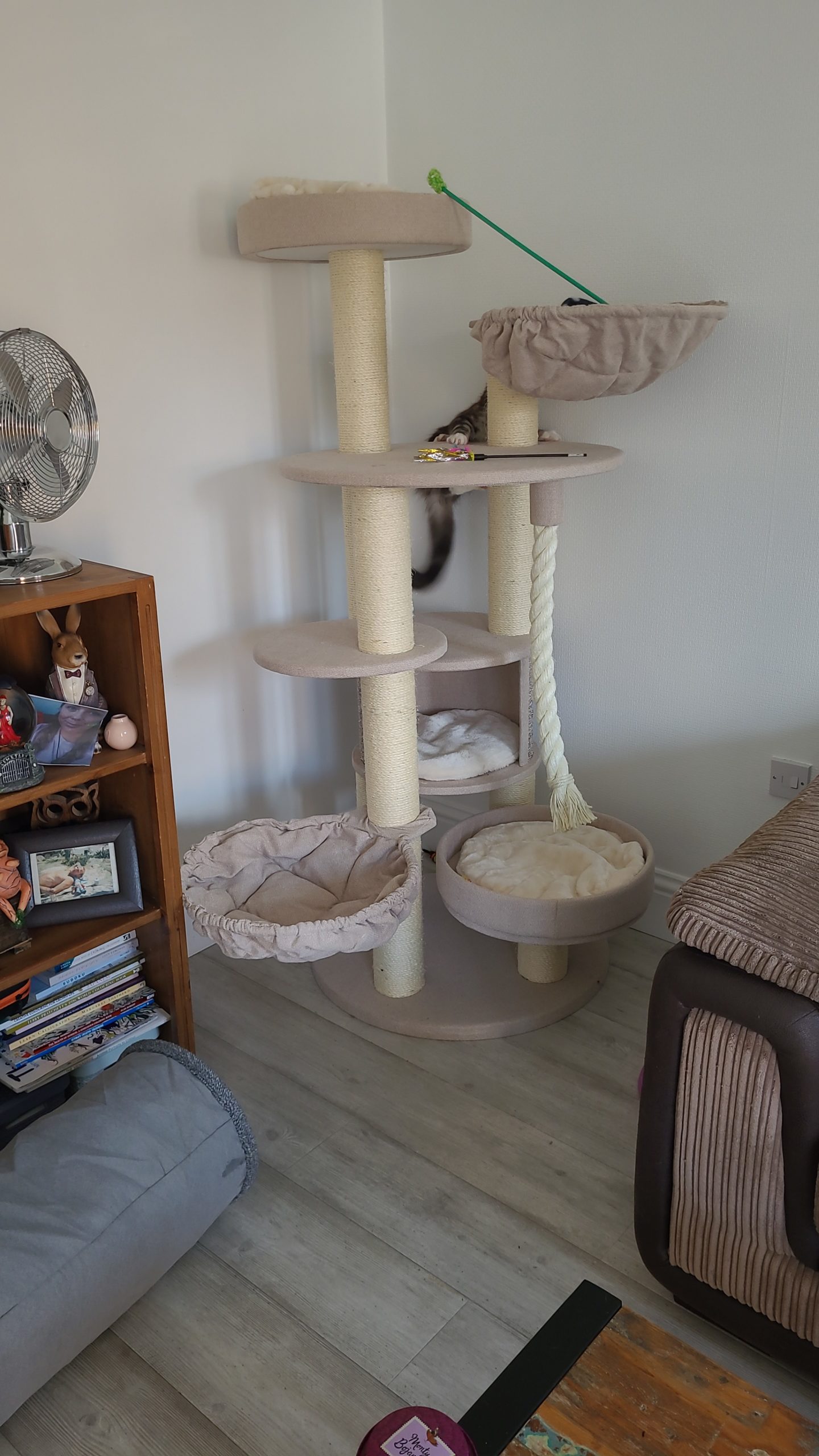 Maine Coon Fiida Cat Tree | LOWEST PRICES GUARANTEED | FREE DELIVERY