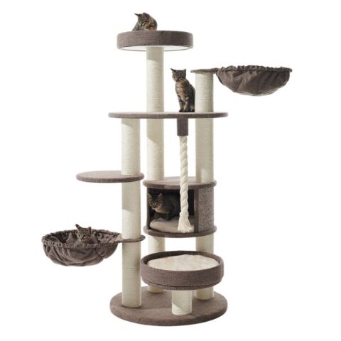 XXL Maine Coon Cat Trees | FAST & FREE DELIVERY & LOWEST PRICE