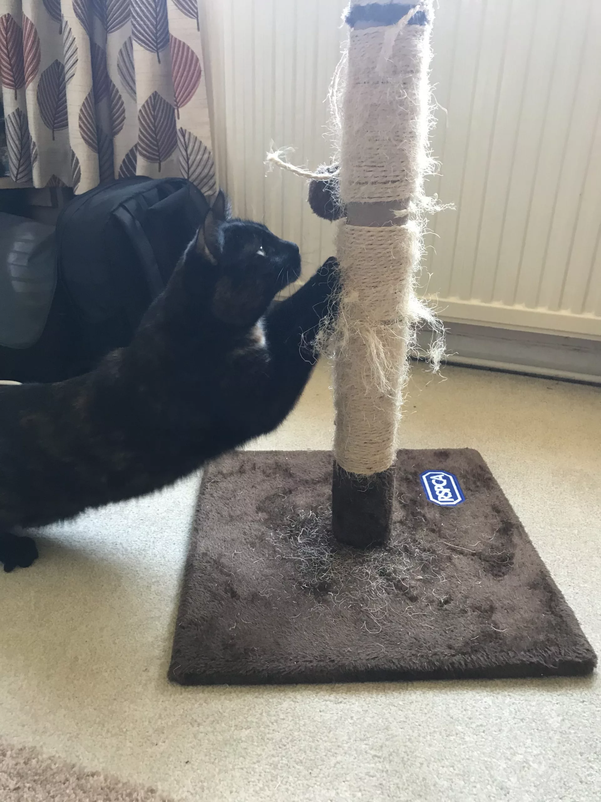 How to re rope your cat scratching post