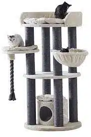 Choosing A Cat Tree For Your Maine Coon!
