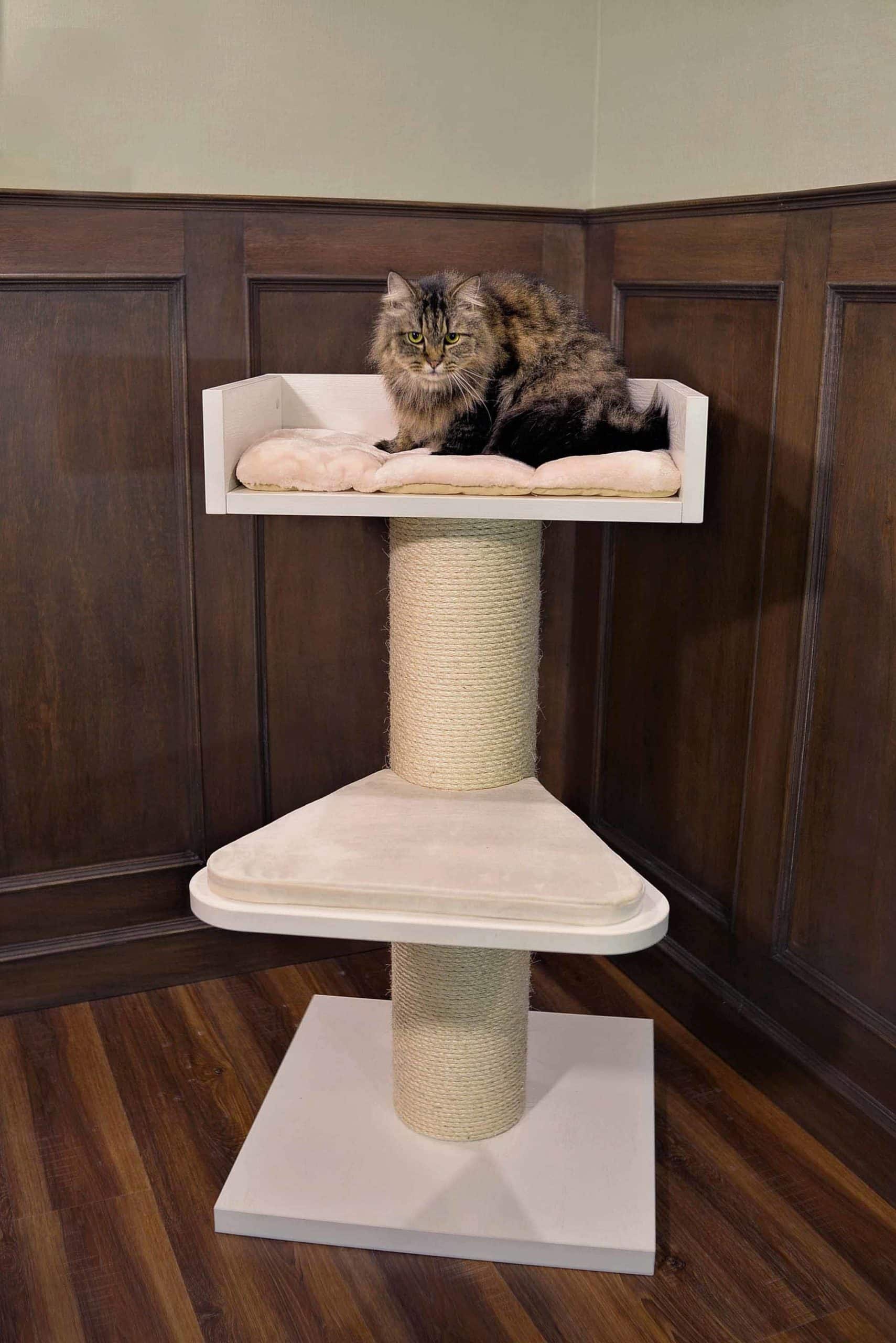 cat tree for large cats 