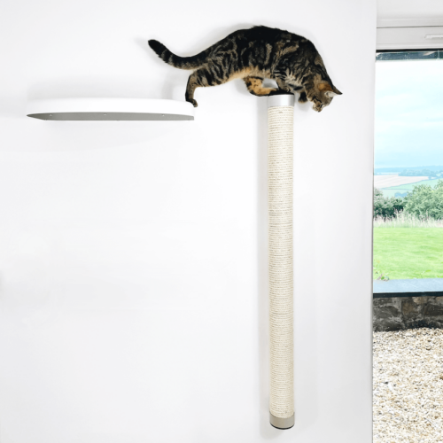Wall-Mounted Climbing Pole